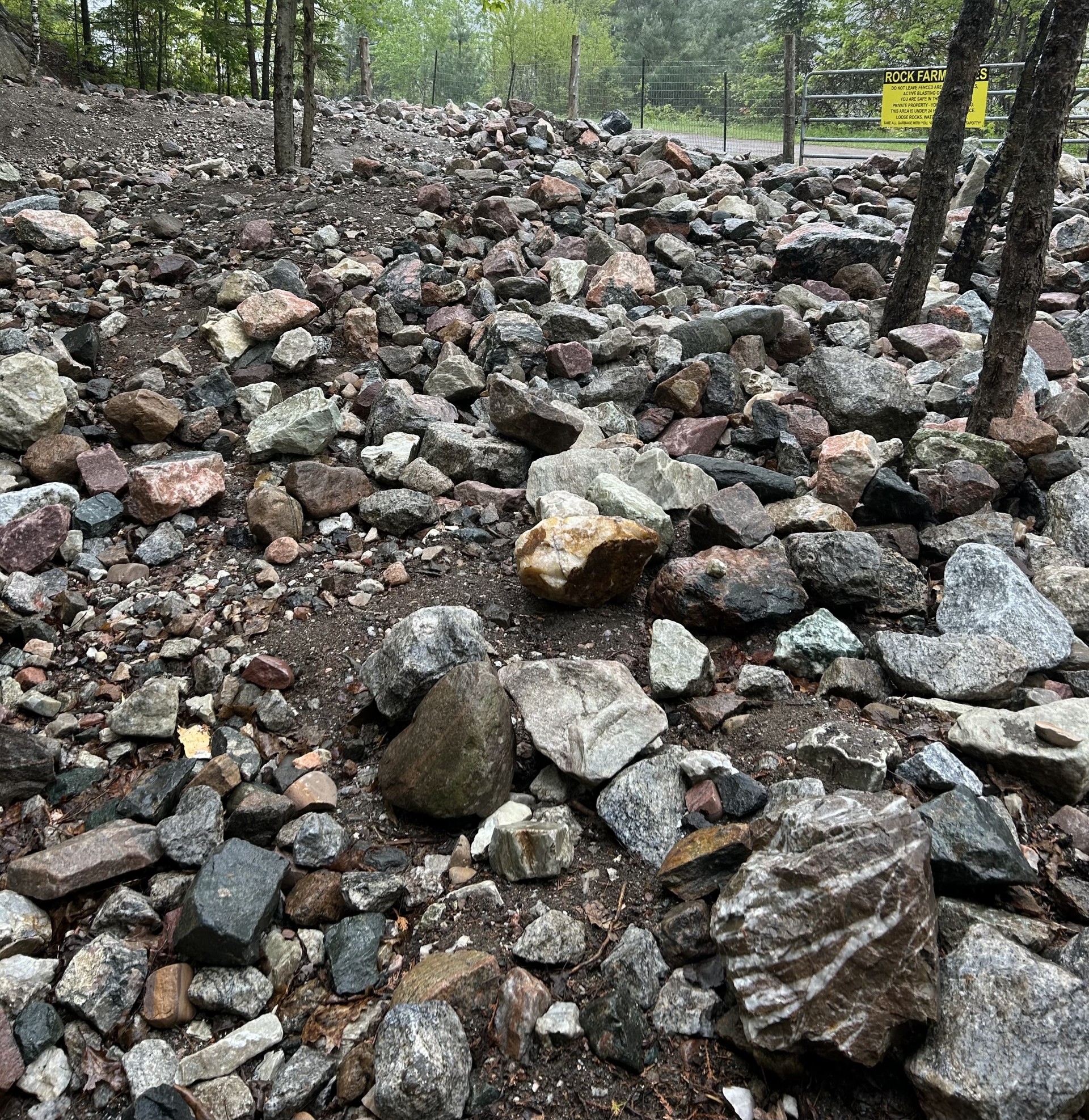 princess sodalite mine rock shop