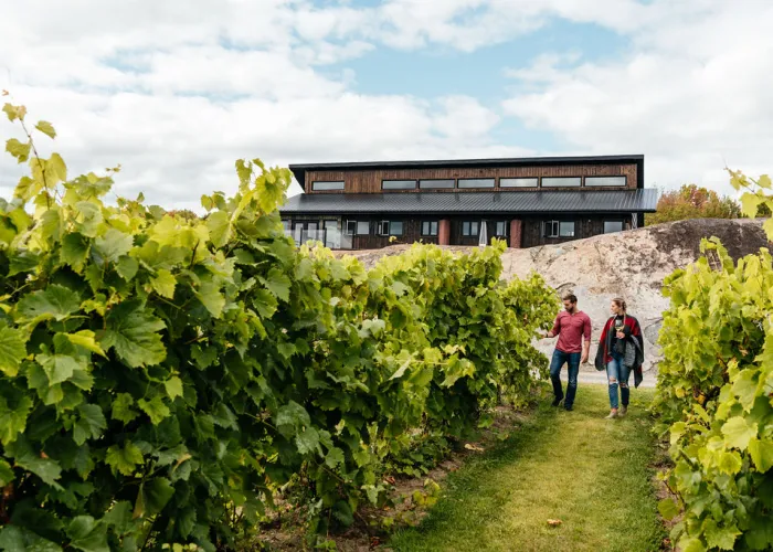 Potter Settlement Winery