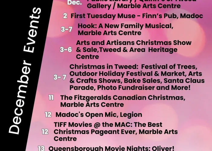 Tweed arts council list of December events