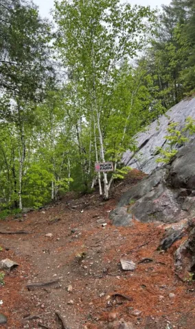 Princess sodalite trail to rock shop